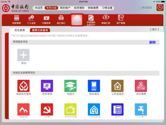 iPad Screenshot 5