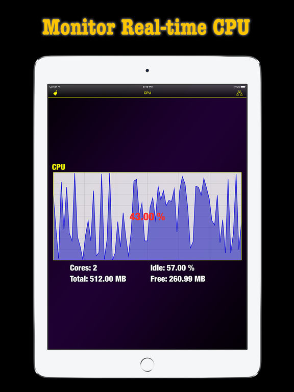 Screenshots of Memory & Disk Scanner Pro - Check System Information for iPad