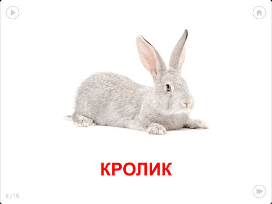 Умные карточки для детей Умные карточки для детей