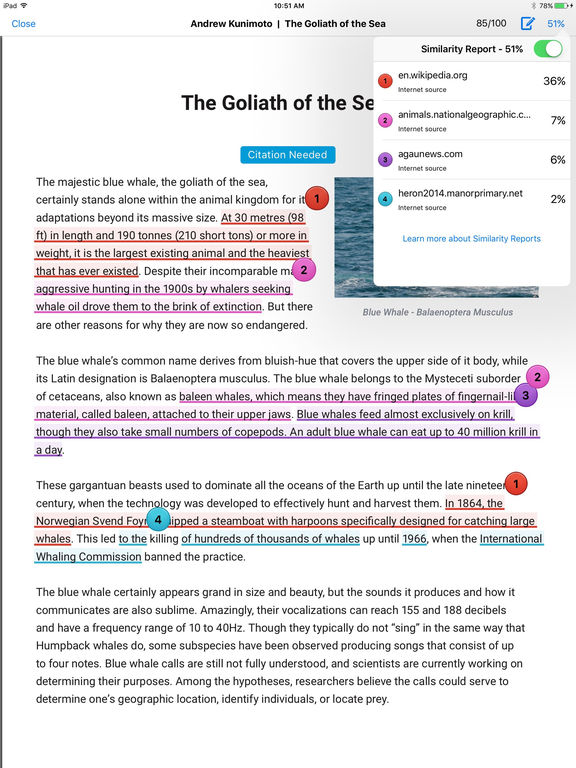 iPad Screenshot 3
