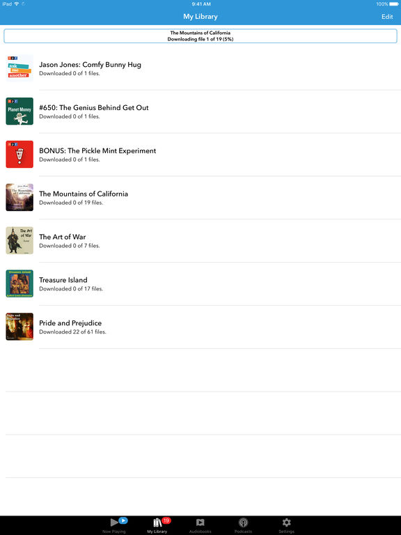 iPad Screenshot 2