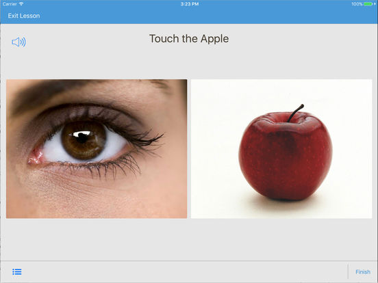 iPad Screenshot 1
