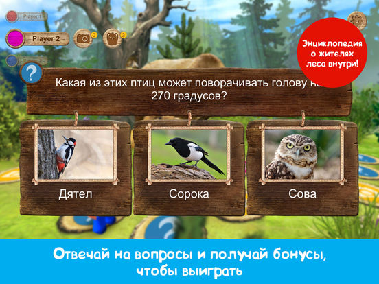 Приключения в лесу: настольная игра для детей Приключения в лесу: настольная игра для детей