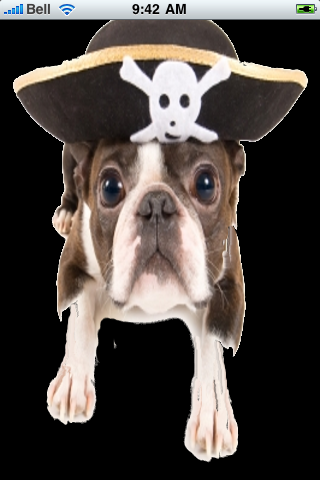 Pirate Dog Snow Globe image #1