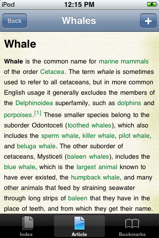 Whales Study Guide image #1