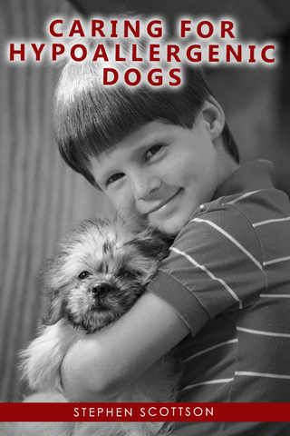 Caring For Hypoallergenic Dogs image #1