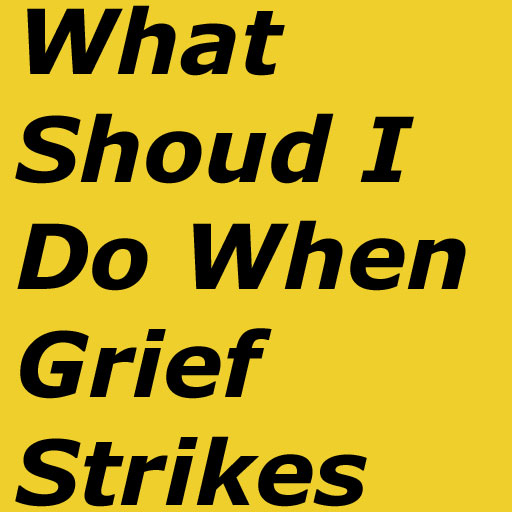 What Should I Do When Grief Strikes