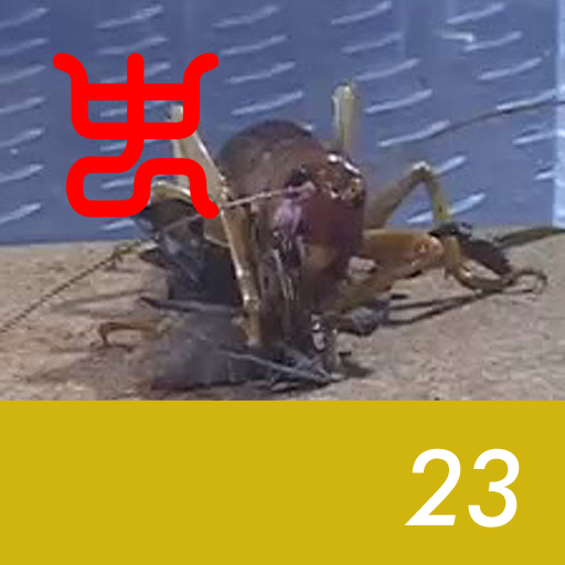 Insect arena 4 - 23.Riock (female) VS Dead leaf mantis