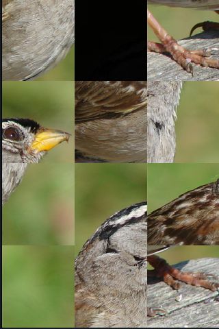 SlidePuzzle - Sparrow image #1
