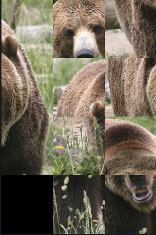 SlidePuzzle - Bear image #1