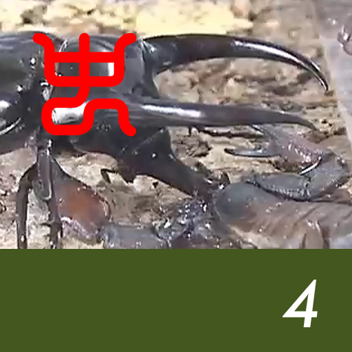 Insect arena 5 - 4.Caucasus beetle VS Flatrock scorpion