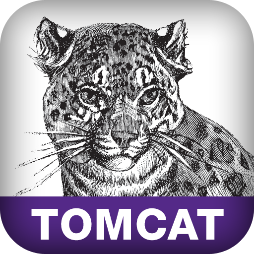 Tomcat: The Definitive Guide, Second Edition