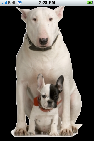 Bull Terrier With Puppy Snow Globe image #1
