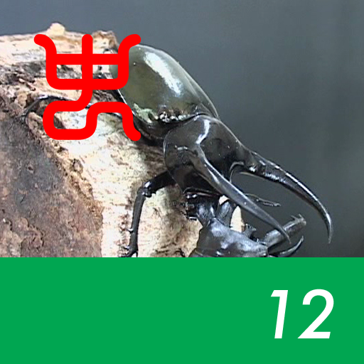 The world's strongest king of insect decision Vol.1 - 12.Caucasus beetle VS Rhinoceros stag beetle