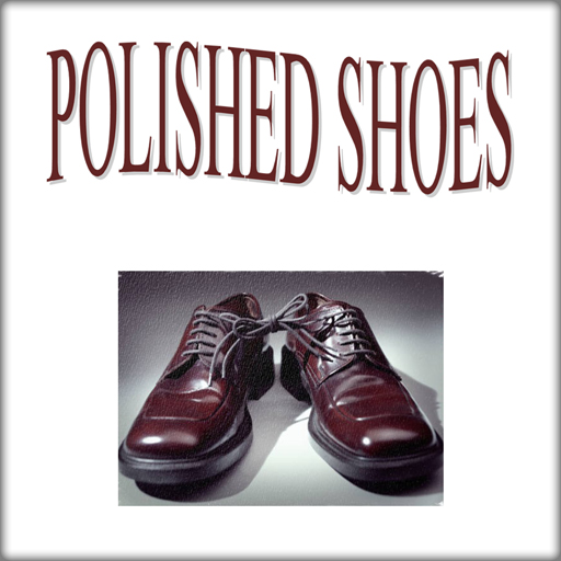Polished Shoes