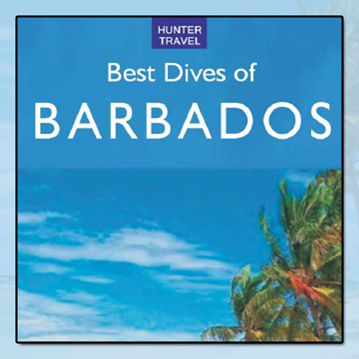 Best Dives Of Barbados