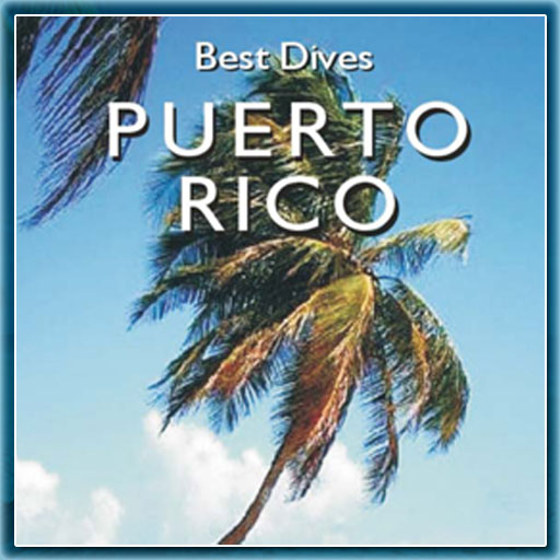 Best Dives Of Puerto Rico