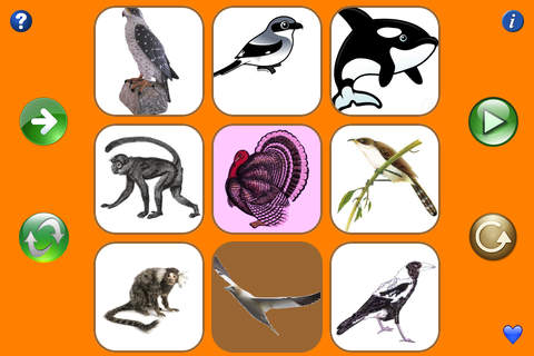 All In One Animal Teacher - náhled