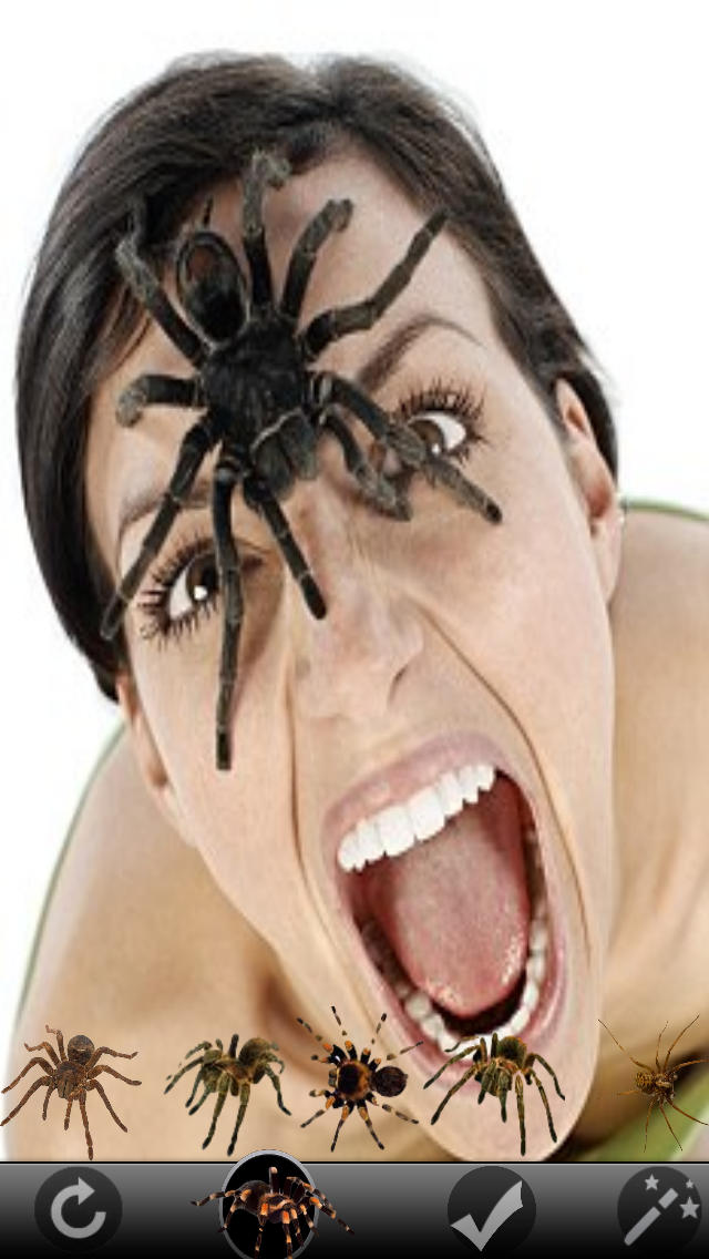 Spider Booth screenshot 1