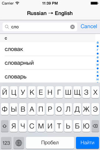 English-Russian/Russian-English Lite - náhled