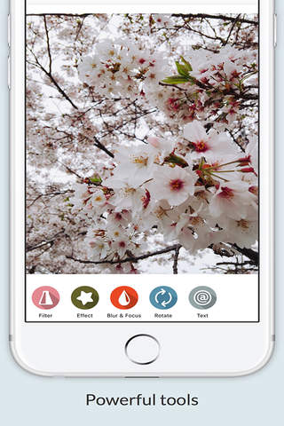 Filter - 写真にフィルタをかけシェアする最もシンプルな無料アプリ - náhled