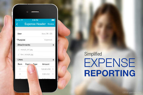 EBSiExpenses - náhled