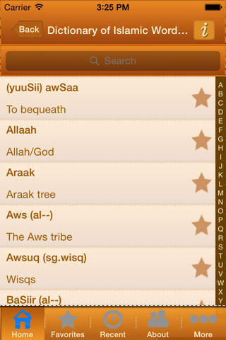 Dictionary Of Islamic Words & Expressions - náhled