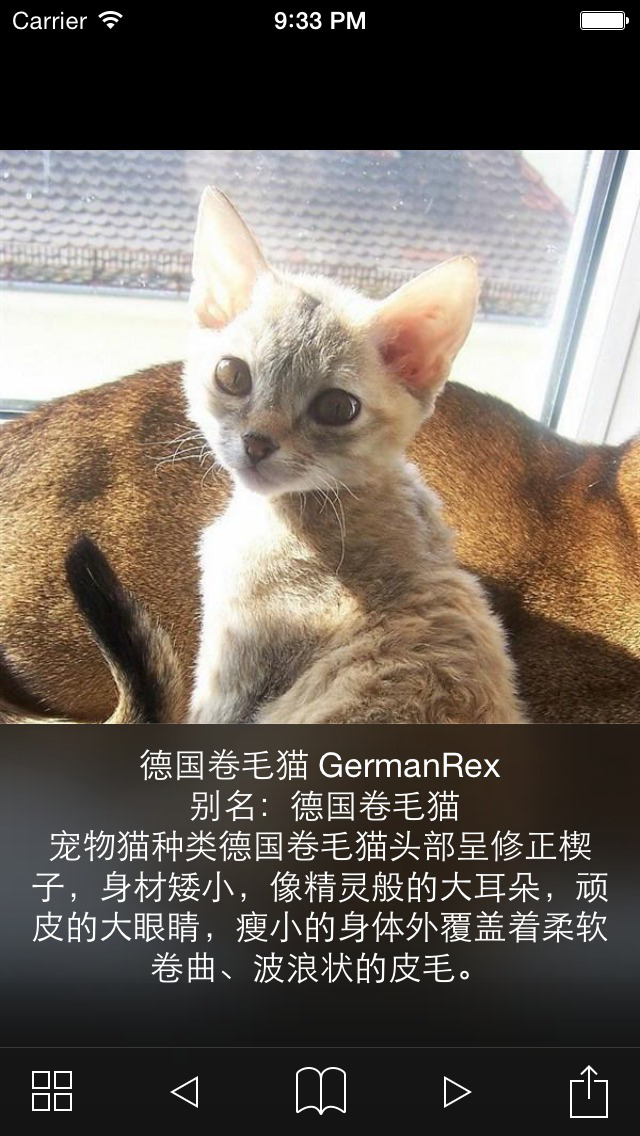 宠物猫咪品种大全 screenshot 2