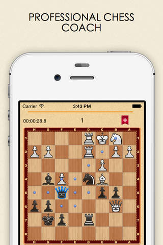 Mate in 3? OK! - náhled