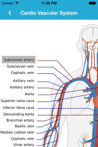 Anatomy Guide (Pocket Book) - náhled