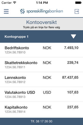 Spareskillingsbanken Bedrift - náhled