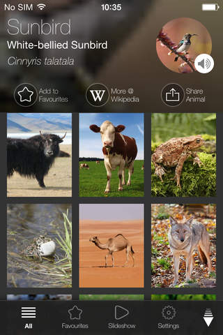 Animal Explorer Free: Sounds and Photos - náhled