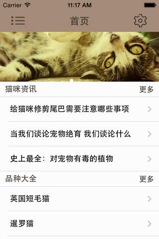 宠物达人-养猫手册 - náhled