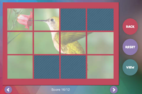 Déjà Vu - Zoo - náhled