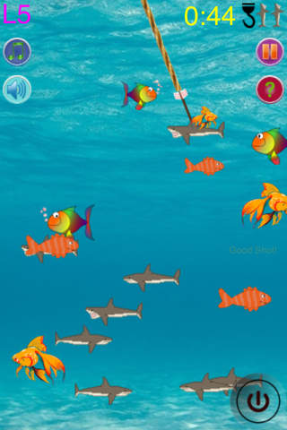 Shark Harcher - náhled