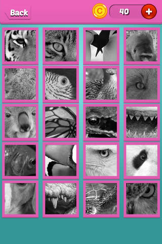 Quiz Pic: Animals - náhled