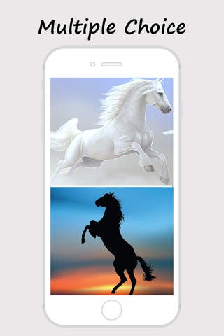 Horse Wallpapers and Backgrounds - náhled