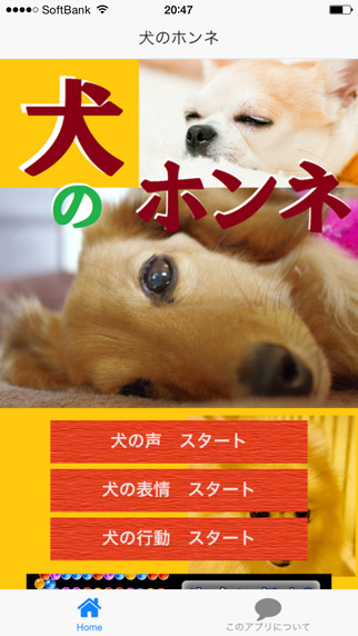 犬のホンネ