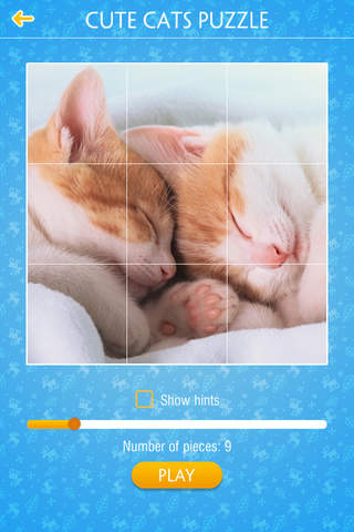 Cute Cats Jigsaw Puzzles - náhled