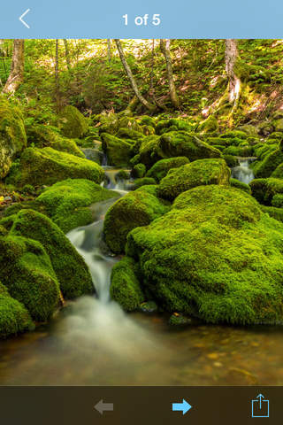 Canada Nature Wallpapers - náhled