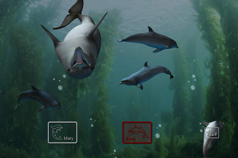 EON Dolphin Delights - náhled