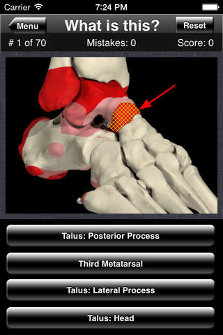 Anatomy Foot Quiz - náhled