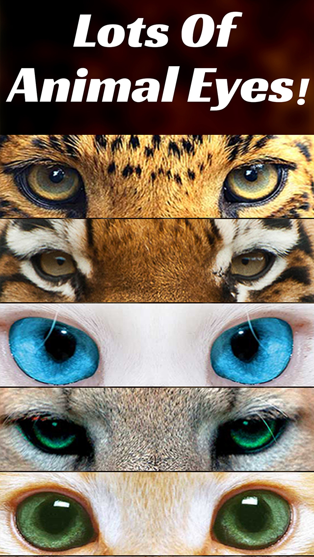 tumblr tiger eyes edit