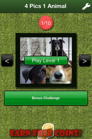 4 Pics 1 Animal Free - Guess the Animal from the P - náhled