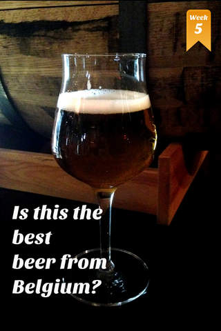 Beer Tasting Guide - náhled