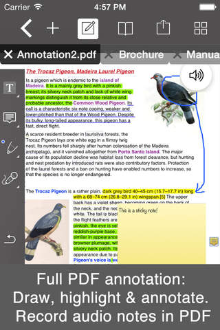 PDF Editor with Word Processor & Sketch pad - náhled