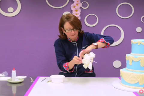 Cake Decorating. - náhled