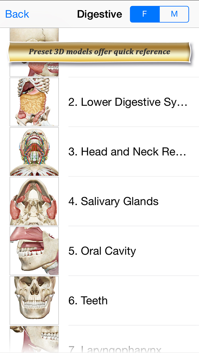 Digestive Anatomy Atlas: Essential Reference for Students and Healthcare Professionals screenshot 2