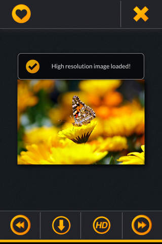 Premium Quality Wallpapers - náhled