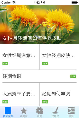 女性月经期助手 - náhled